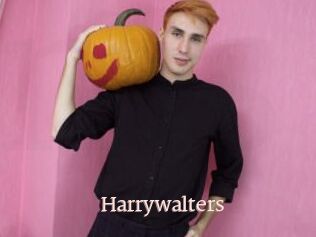 Harrywalters