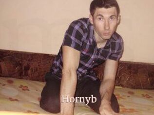 Hornyb