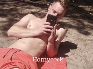 Hornycock