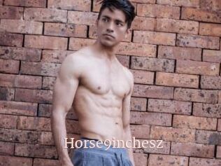 Horse9inchesz