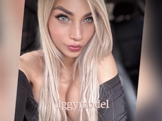 Iggymodel