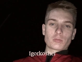 Igorkoshel