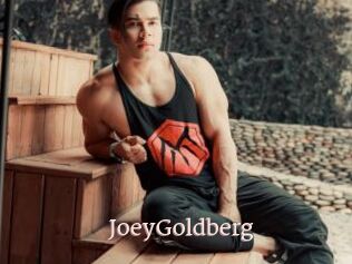 JoeyGoldberg