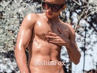 JoshuaFox