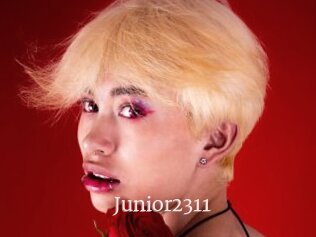 Junior2311
