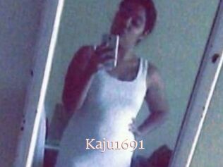 Kaju1691