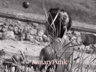 KanaryPunk