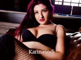 Karinasodi