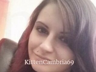KittenCambria69