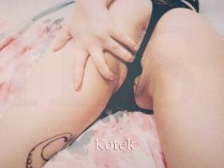Kotek