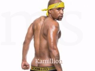 Kamillion