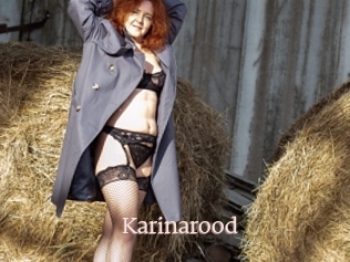 Karinarood