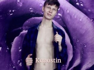 Kenostin