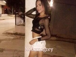 Kodamagrey