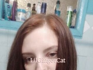 LilGingerCat
