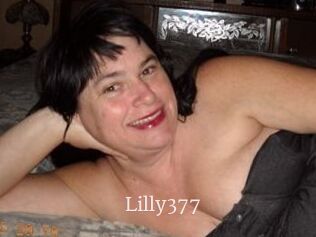 Lilly377