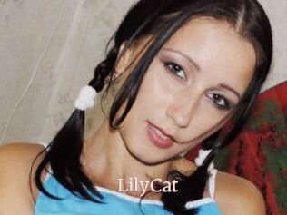 Lily_Cat_