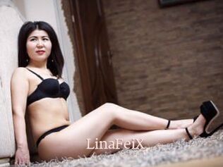 LinaFeiX