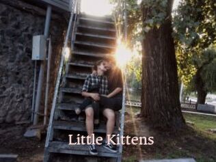 Little_Kittens