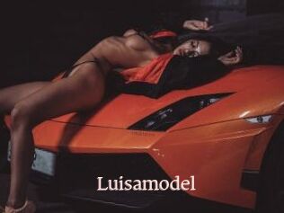 Luisamodel