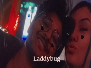 Laddybug