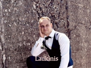 Laukinis