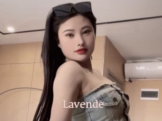 Lavende