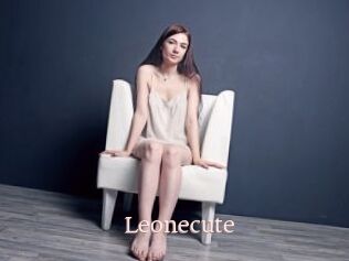 Leonecute