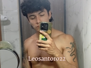 Leosantoro22