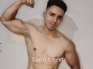 Liam_forest
