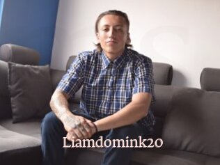 Liamdomink20