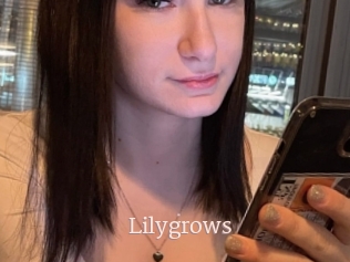 Lilygrows