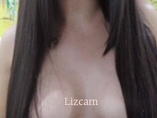 Lizcam