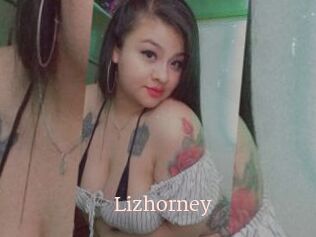 Lizhorney