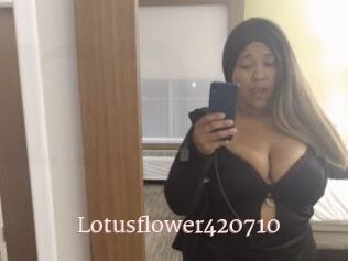 Lotusflower420710