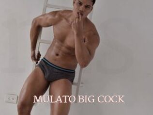 MULATO_BIG_COCK