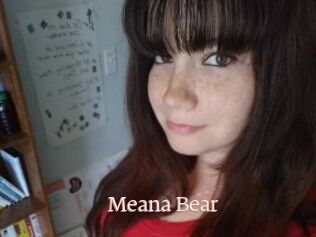 Meana_Bear