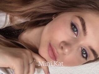 Mini_Kat