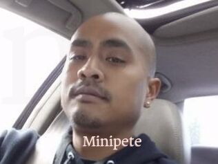 Minipete