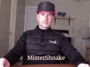 MisterShnake