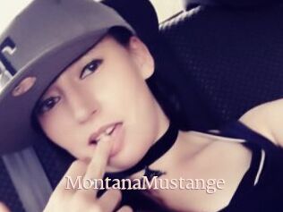 MontanaMustange