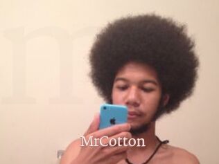 MrCotton