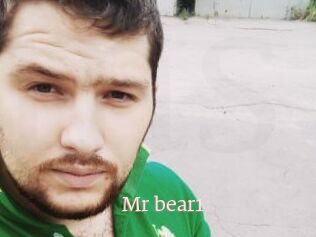 Mr_bear1