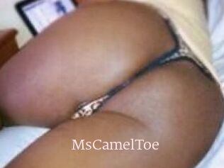 MsCamelToe