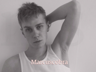 Marcuscobra