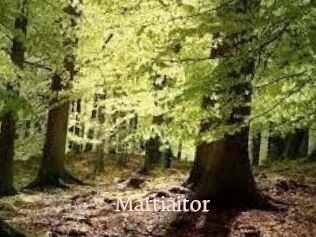 Martiaitor