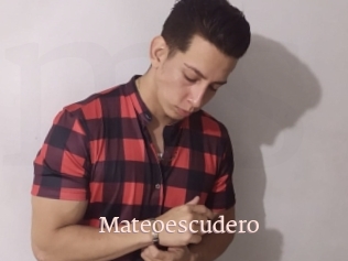 Mateoescudero
