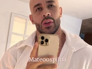 Mateoospiina