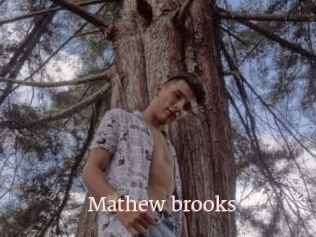Mathew_brooks
