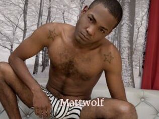 Mattwolf